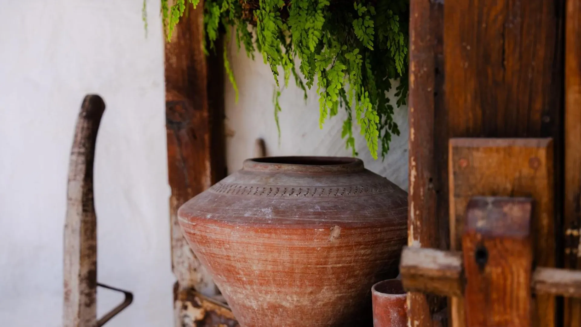Country house Casa Rural Tajona & Granero Costa Adeje